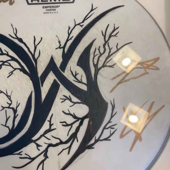 Rare Remo rock band drum skin in frame - Picture 2 of 5